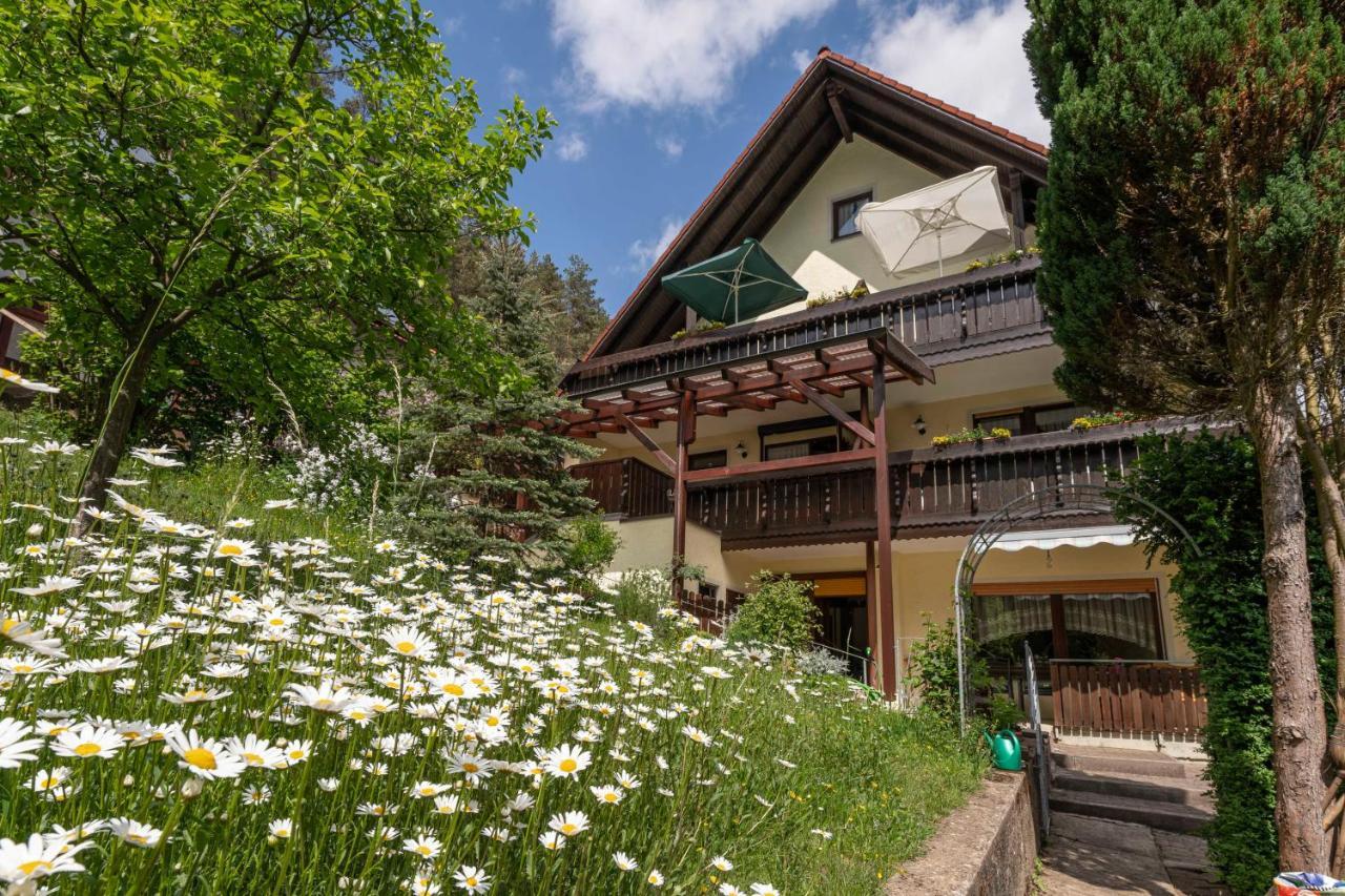 Haus Wiesenttal 魏申费尔德 外观 照片